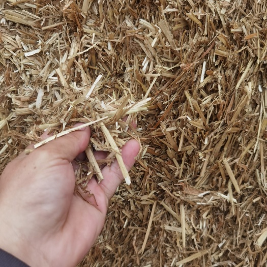 正阳县干草 柔丝除尘小麦秸秆