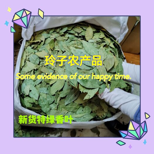 玉林新货特绿香叶片大碎片少香味浓郁另售大红八角