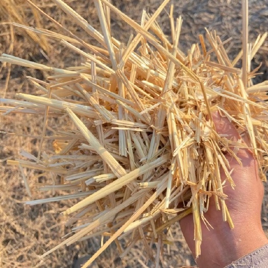 太和县小麦秸秆