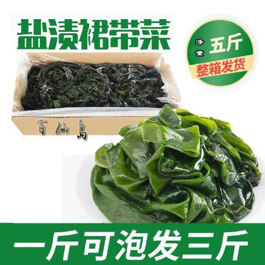 【裙带菜】盐渍翠绿色嫩裙带叶，螺旋藻，一箱5斤批发包邮