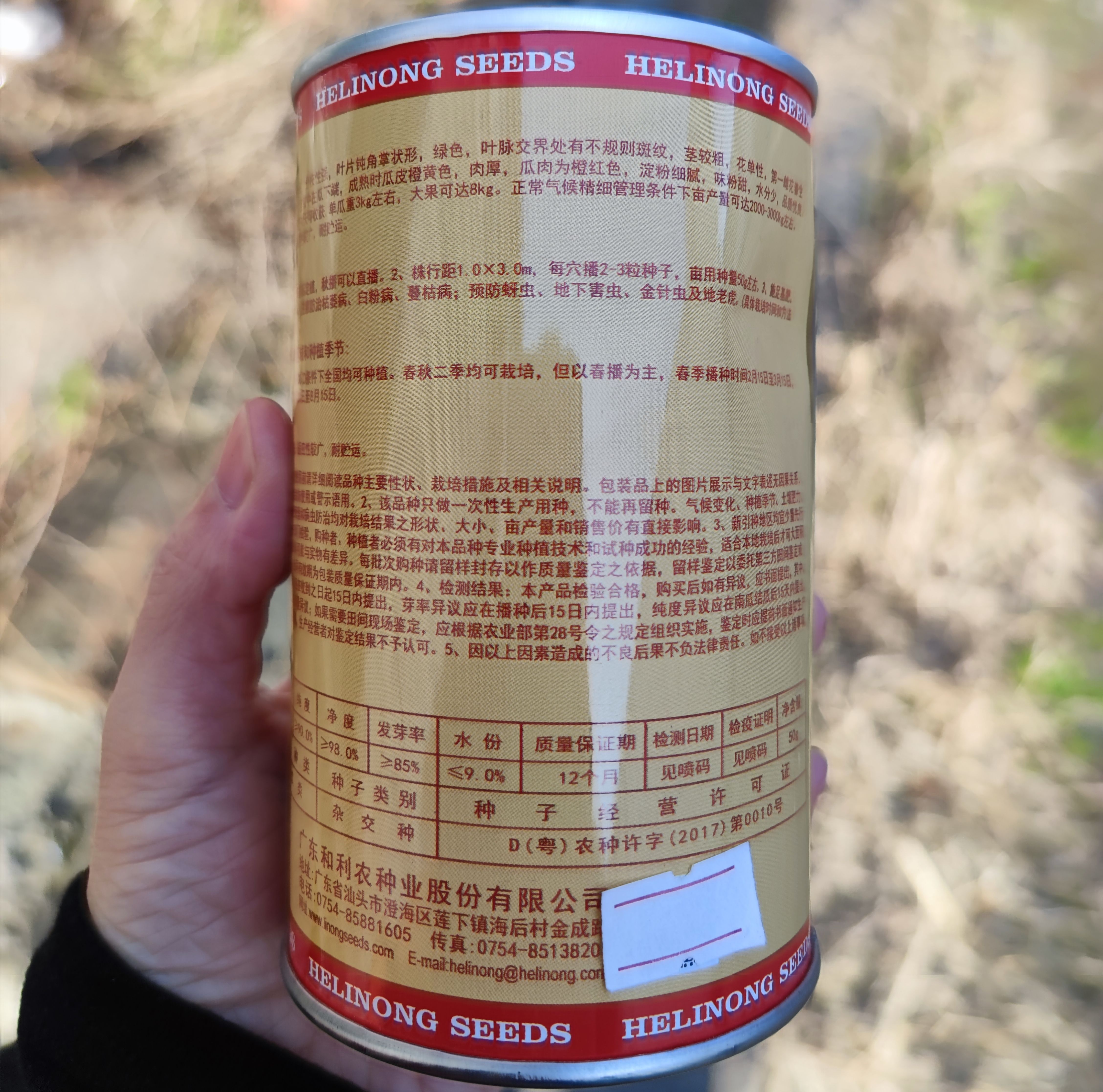 大果金蜜蜜本南瓜种子 大果金韩汕蜜蜜本南瓜种子 高产耐储运口