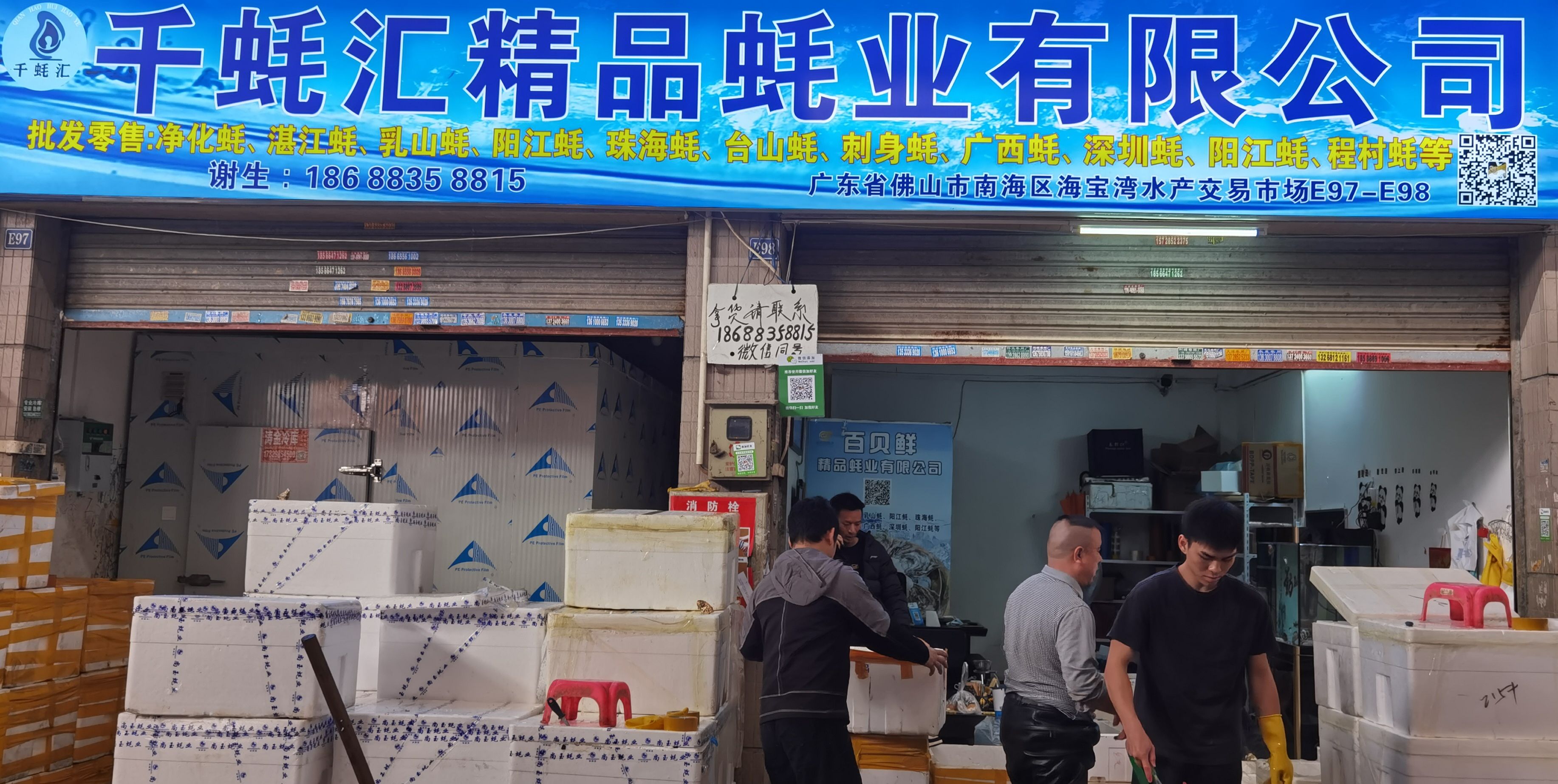 三倍体生蚝 乳山生蚝精品黑牡蛎鲜活新鲜一箱带壳海蛎子 产地直