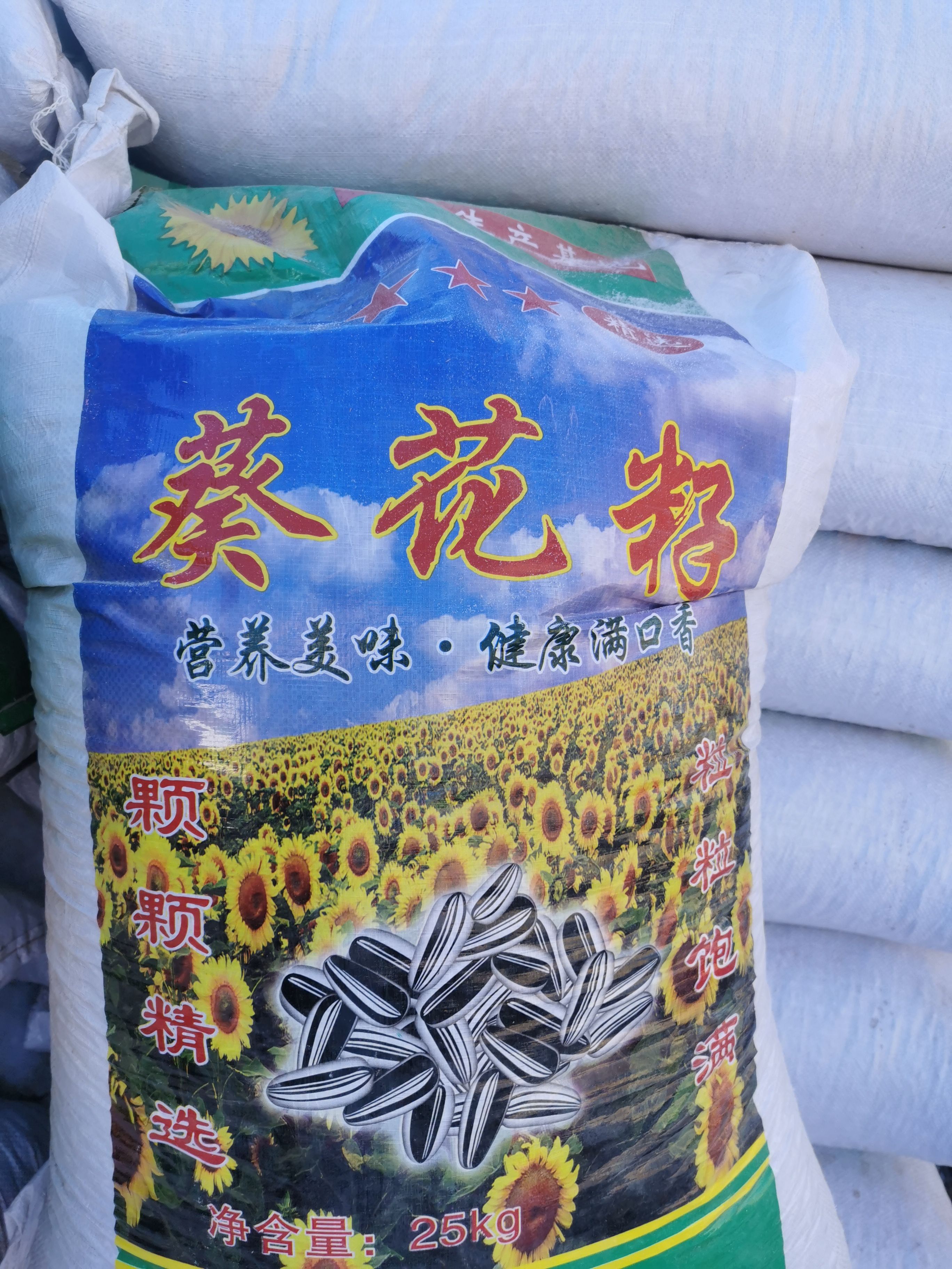 葵瓜子 优质葵花籽3135出货，量大可以优惠