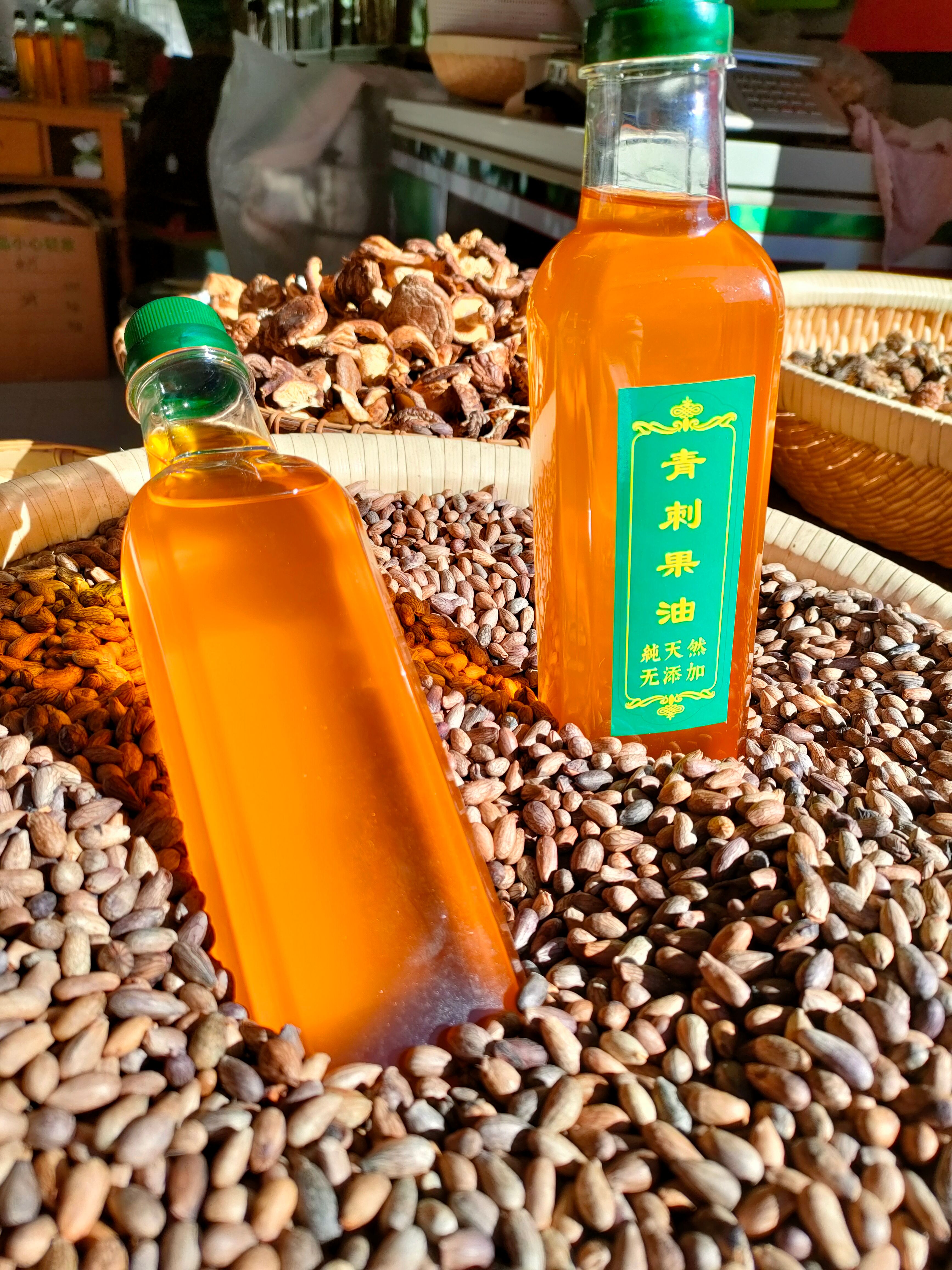 青刺果油 泸沽湖青刺果油 云南丽江青刺果油