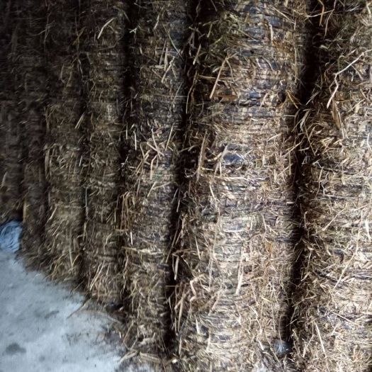邵阳县茶枯 