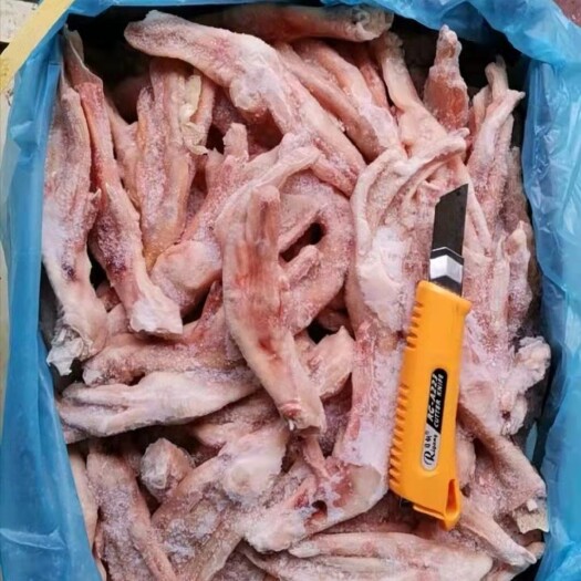 东莞市50+大鸭掌  手续齐全 价格到位