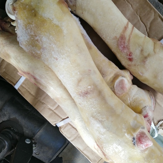 牛脚新鲜黄牛蹄农家散养牛脚牛掌带皮带骨带牛蹄筋没规定重量