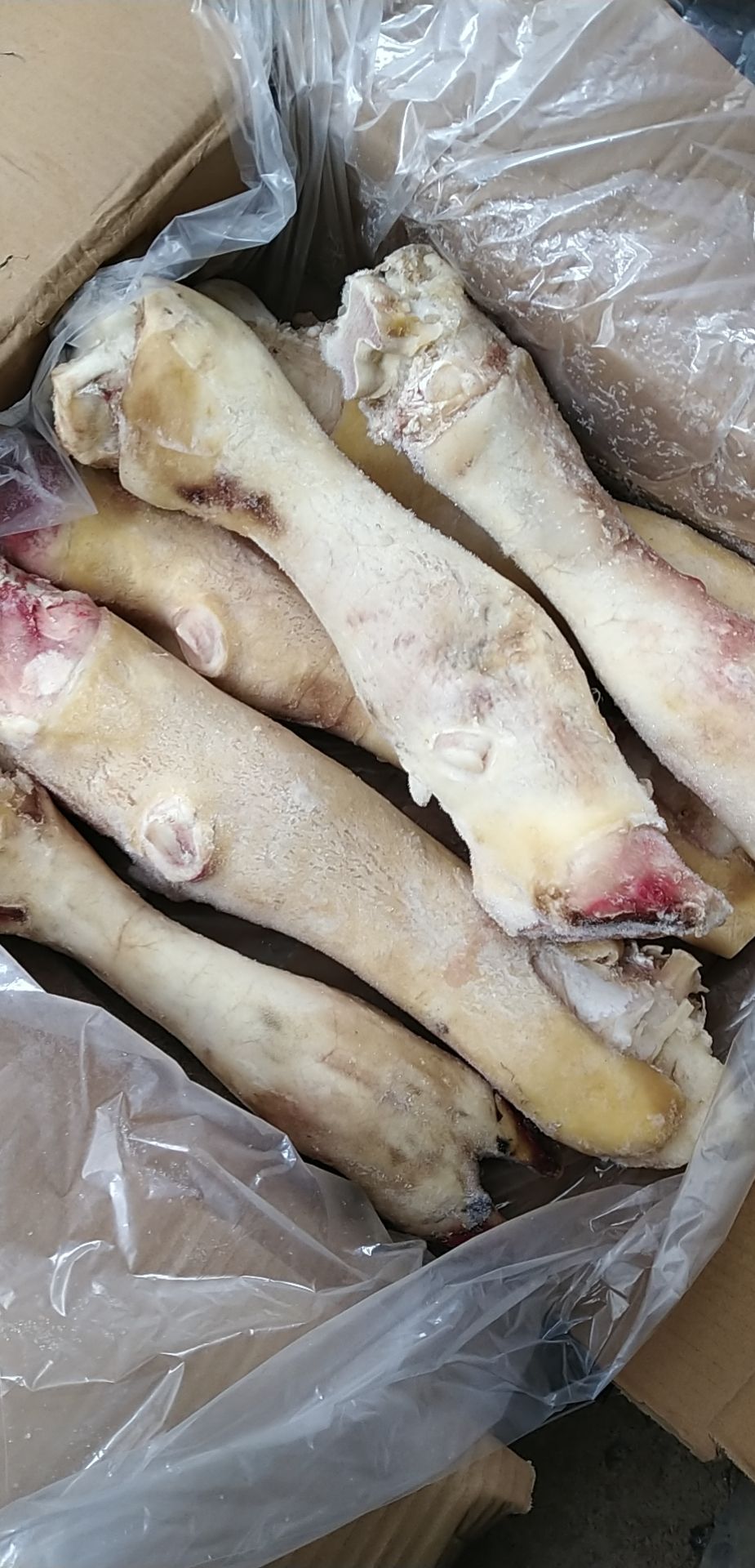 牛脚新鲜黄牛蹄农家散养牛脚牛掌带皮带骨带牛蹄筋没规定重量