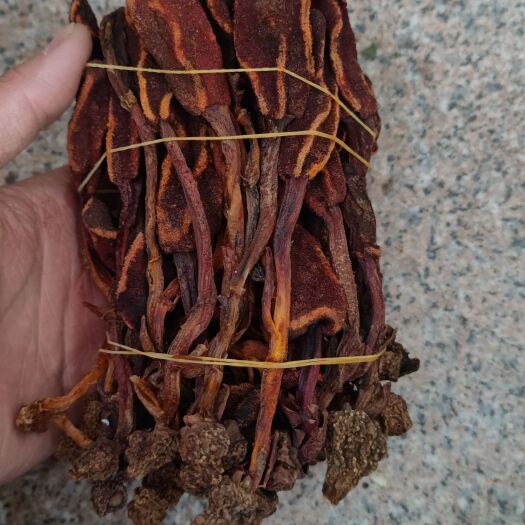 亳州包邮  回春草 新货 不老草 顶天柱  量大从优