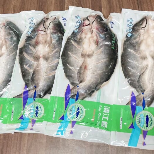 苏州鮰鱼 清江 鱼江团烤鱼系列规格齐全冷冻开背腌制