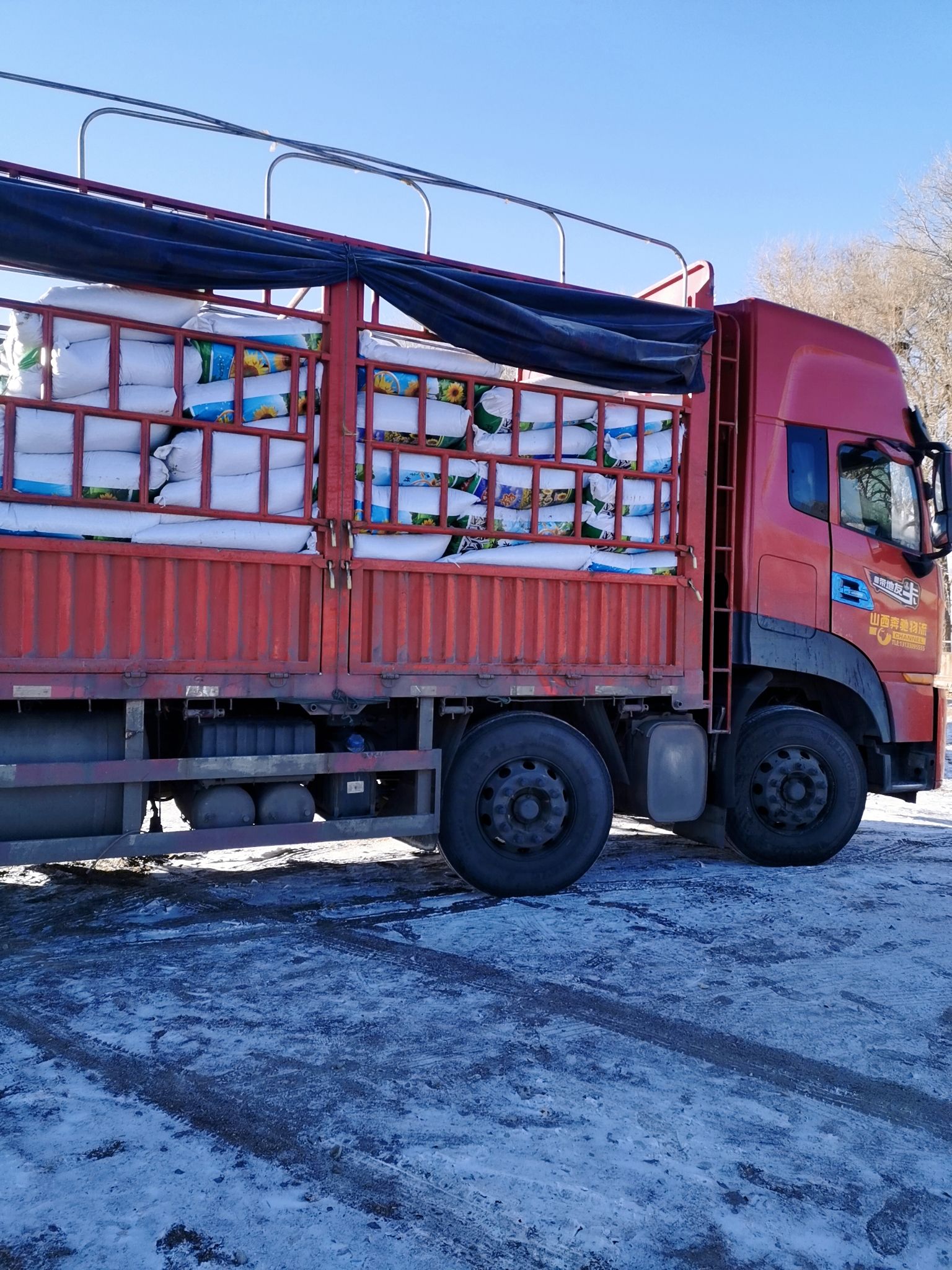 葵瓜子 优质葵花籽3135出货，量大可以优惠