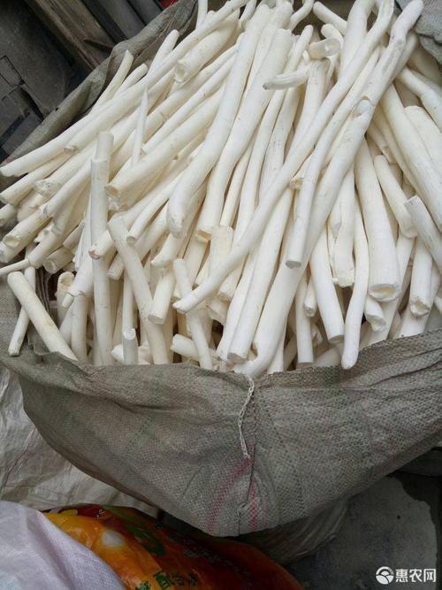 望谟县通心草 2021年通草新货，