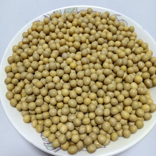 七台河黄芽豆 黑龙江省七台河市茄子河区 生大豆 1等品 
