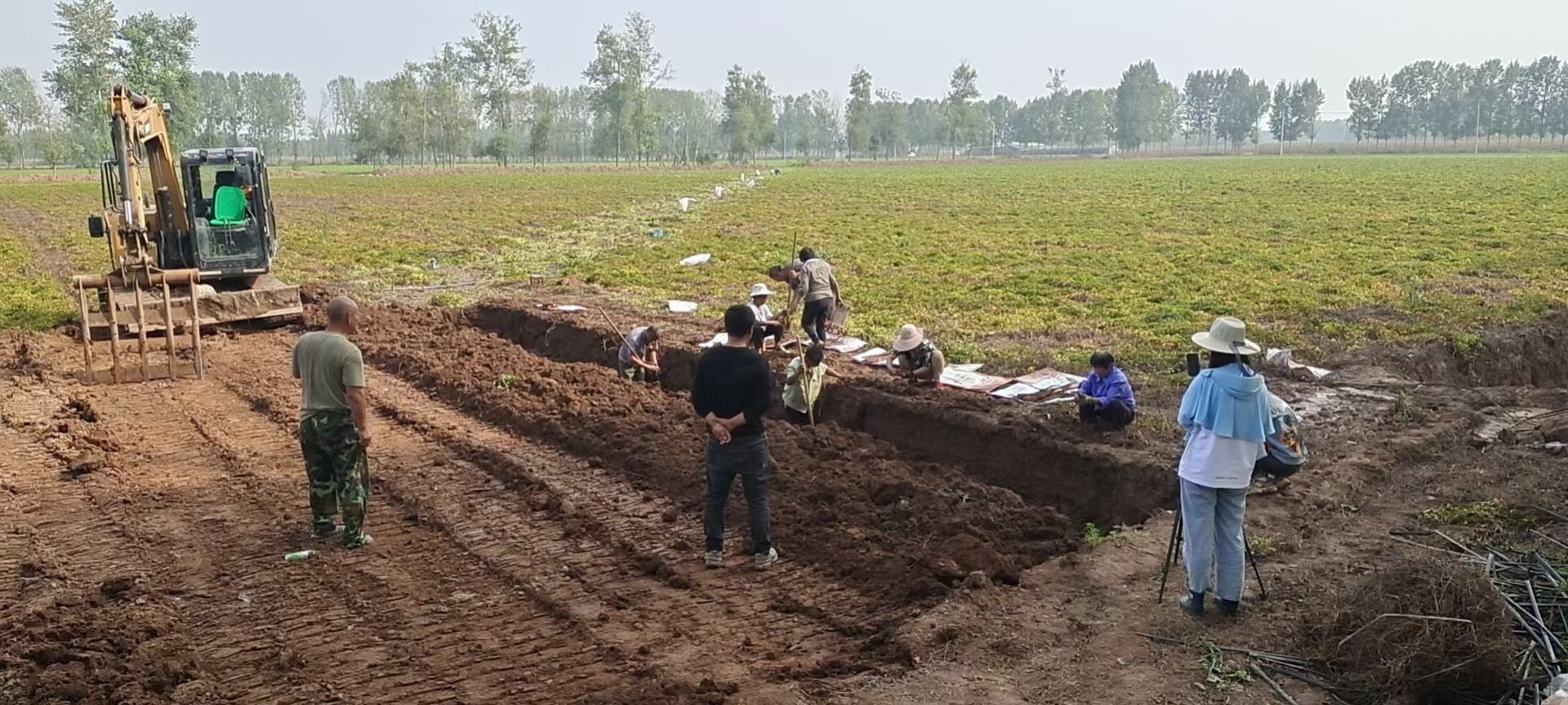 钻石版品质河南焦作温县垆土地铁棍山药