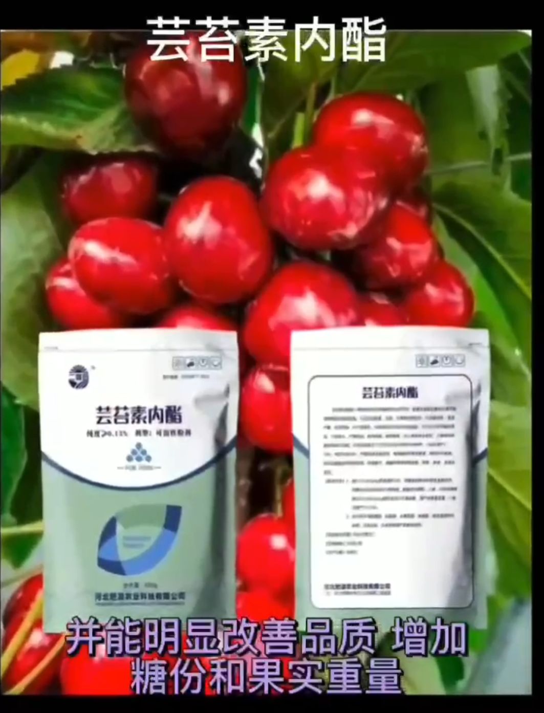 大量元素水溶肥 芸苔素内酯，水溶肥