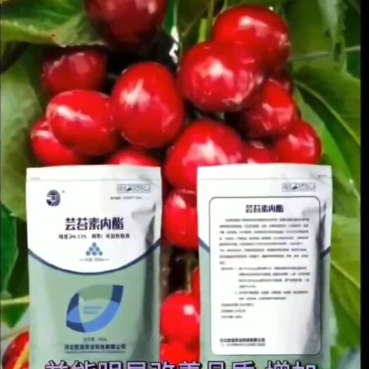 邯郸大量元素水溶肥 芸苔素内酯，水溶肥