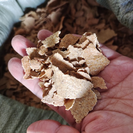 豆粕饲料 纯黄豆熟豆粕(非豆饼)非转基因 食品级 高蛋白质可