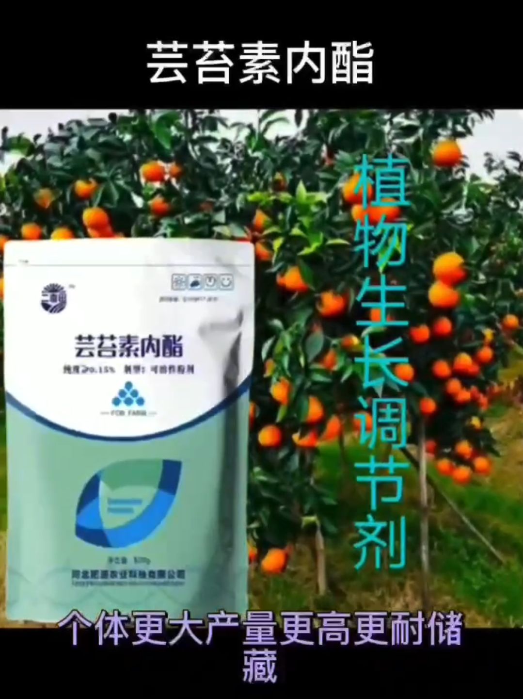 大量元素水溶肥 芸苔素内酯，水溶肥