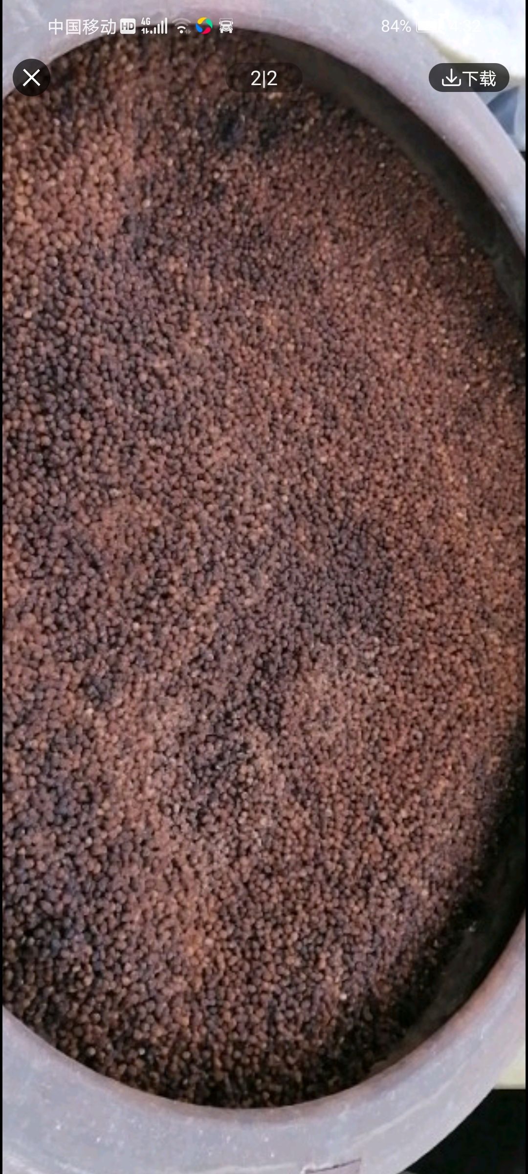 黑豆豉  豆豉半成品 7度盐 淡豆豉 东北小黄豆发酵