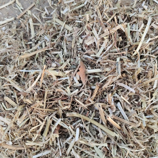 平舆县干草类饲料 花生秧