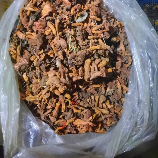 赤城縣鉚釘菇 紅蘑 肉蘑 松樹(shù)傘