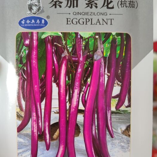 南昌秦茄紫龙杭茄茄子种子，1000粒