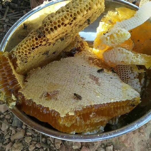 开远市 土蜂蜜，养生的好伴侣