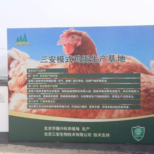 北京鲜鸡蛋，好山好水好鸡蛋，来自北京延庆的三安鲜鸡蛋批发