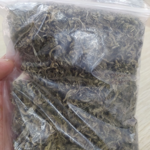 涟水县艾草 妇女朋友们的最爱，用它散寒