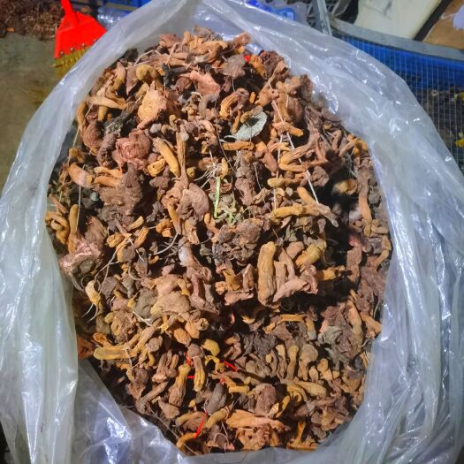 赤城县自然干，铆钉菇 松树伞二大头，便宜处理