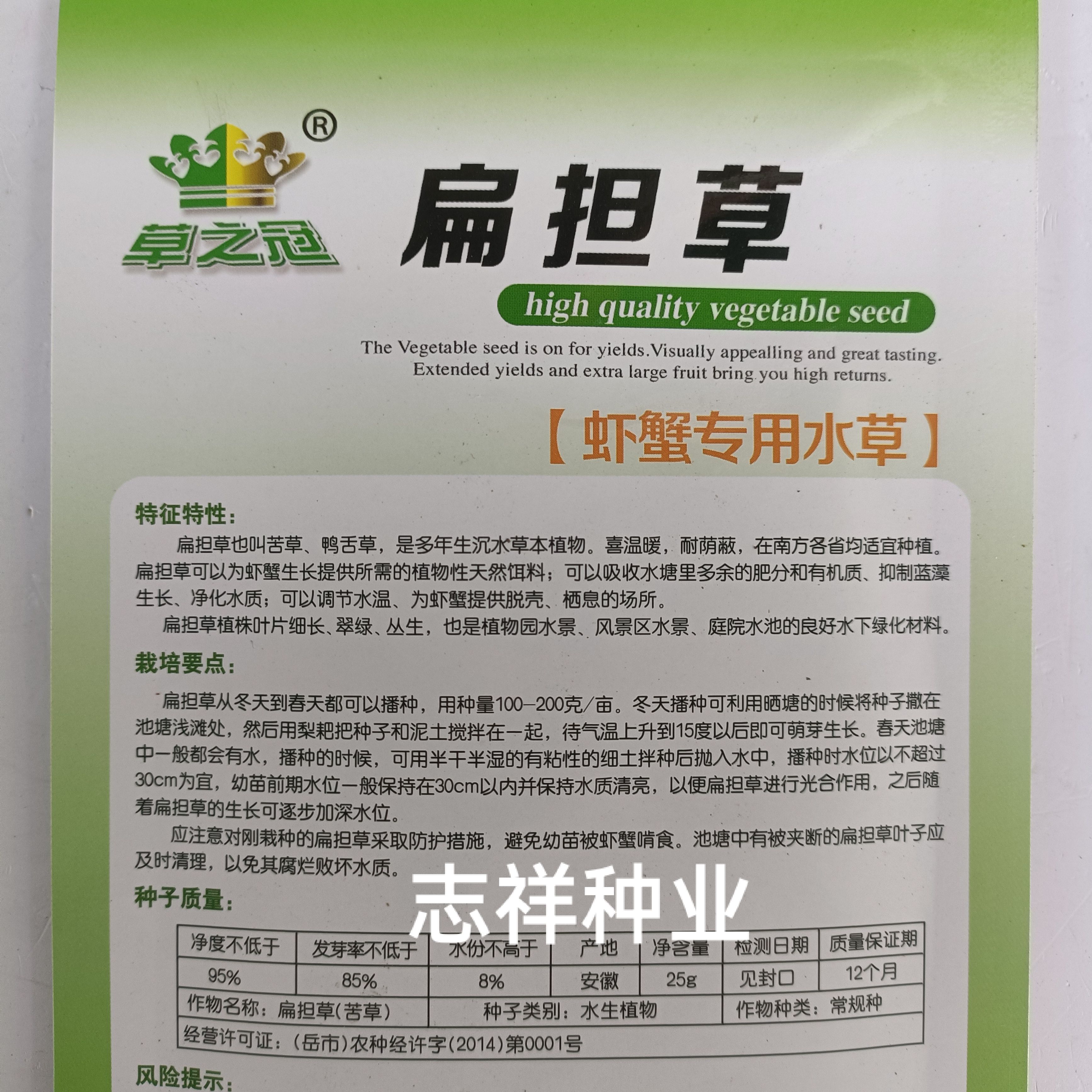 苦草种子 扁担草种虾蟹专用水草苦草鸭舌草多年生沉水草本植物改