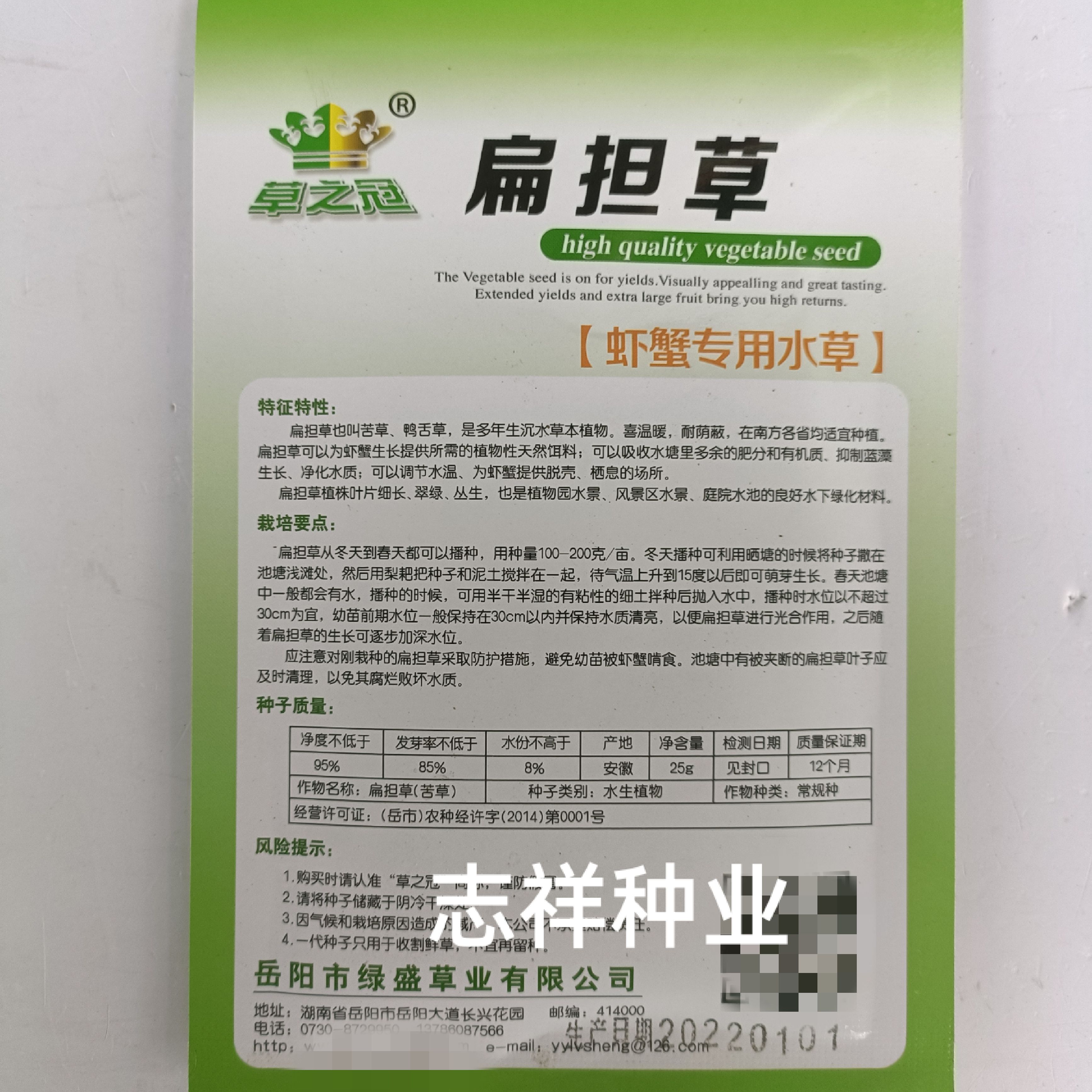 苦草种子 扁担草种虾蟹专用水草苦草鸭舌草多年生沉水草本植物改
