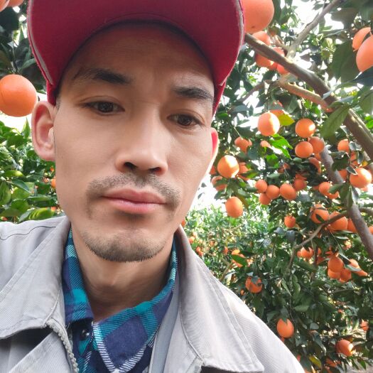 雷波县元旦将至 ，赠送一份美好 ，赠送一份橙意，优选雷波脐橙，果园