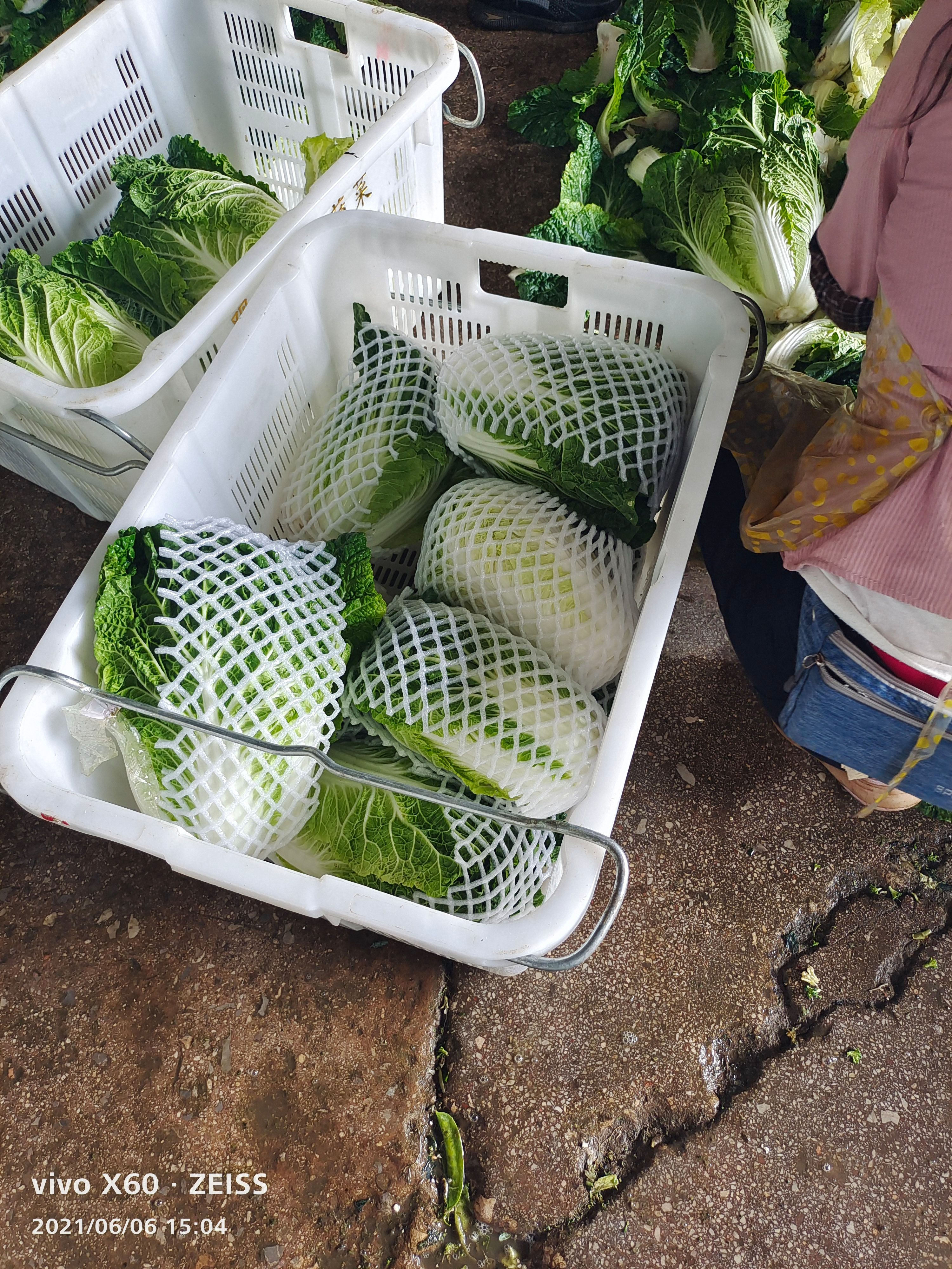 包尖白菜 东阳黄心白上市了半净净菜毛菜都可以345到456。