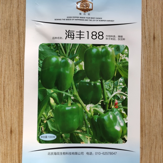 寿光市海丰188 方椒种子灯笼形大果辣椒庭院露地绿皮肉厚春秋播种