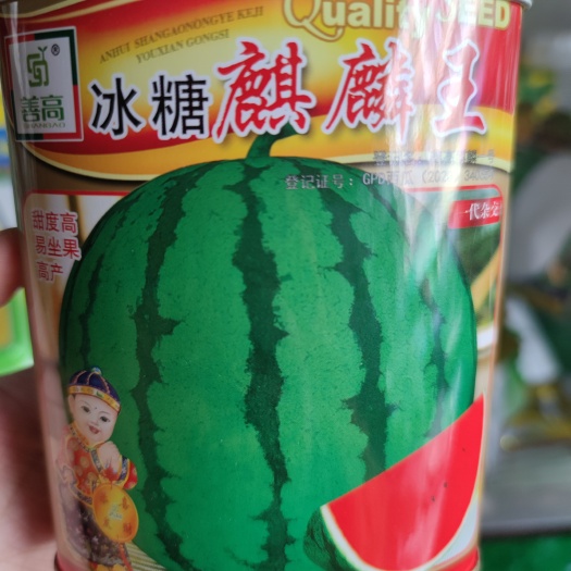 余干县冰糖麒麟王西瓜种子 早熟品种 圆形大果 花绿皮覆腊粉美观囊色