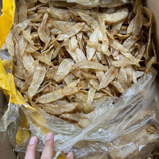 广州花胶 大量 金龙胶 50-60头¥440