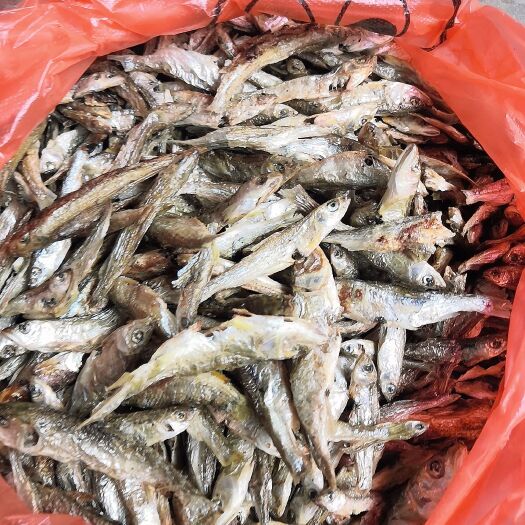 宁都县 自家柴鱼干，个小，小溪鱼干