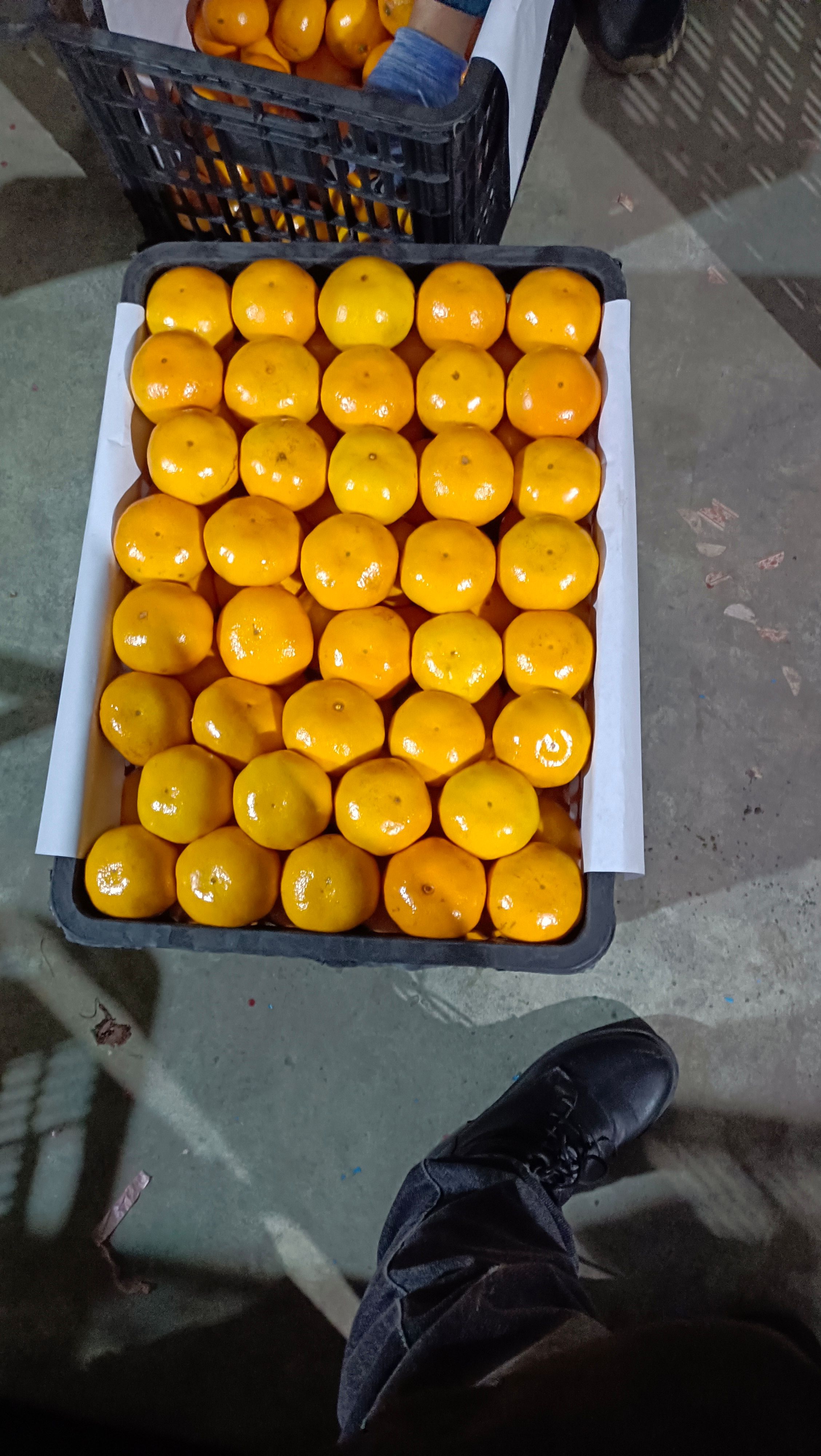 高山蜜橘湖北宜昌薄皮化渣。无子无渣口感纯甜，地头货源上市走货