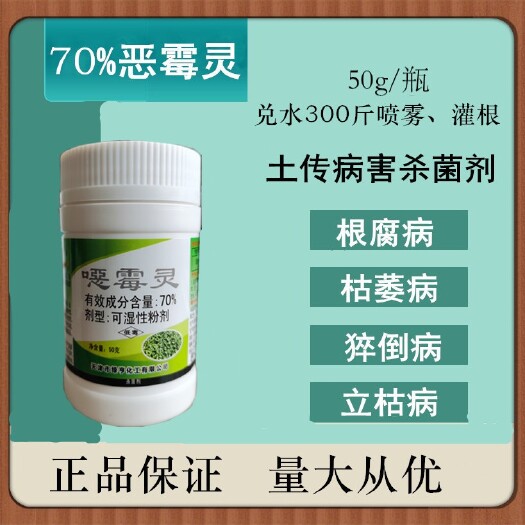 潍坊绿亨化工%恶霉灵可湿性粉剂防作物根腐枯萎立枯等土传病害