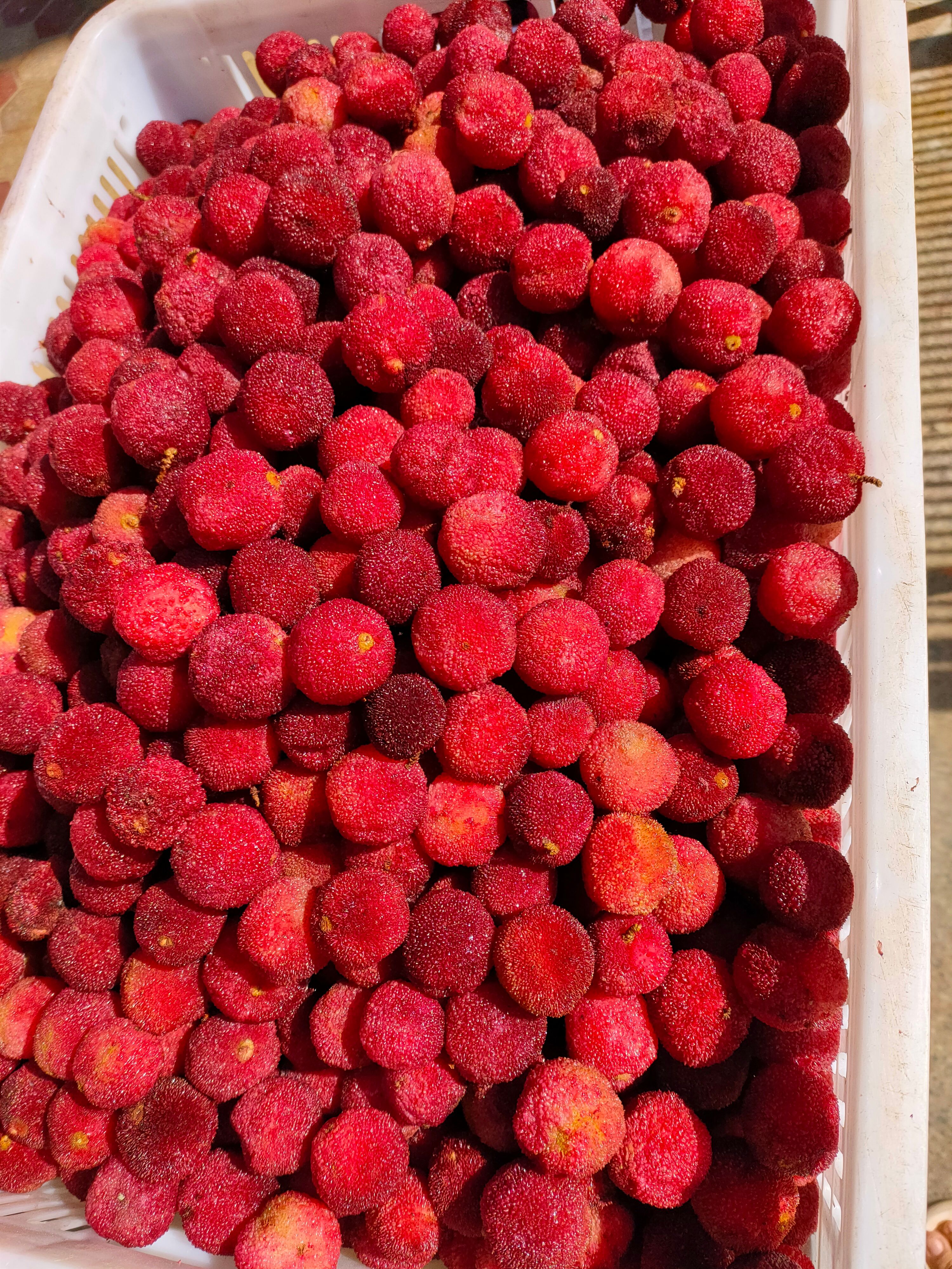 杨梅蜜饯 杨梅干 东魁杨梅干 蜜饯