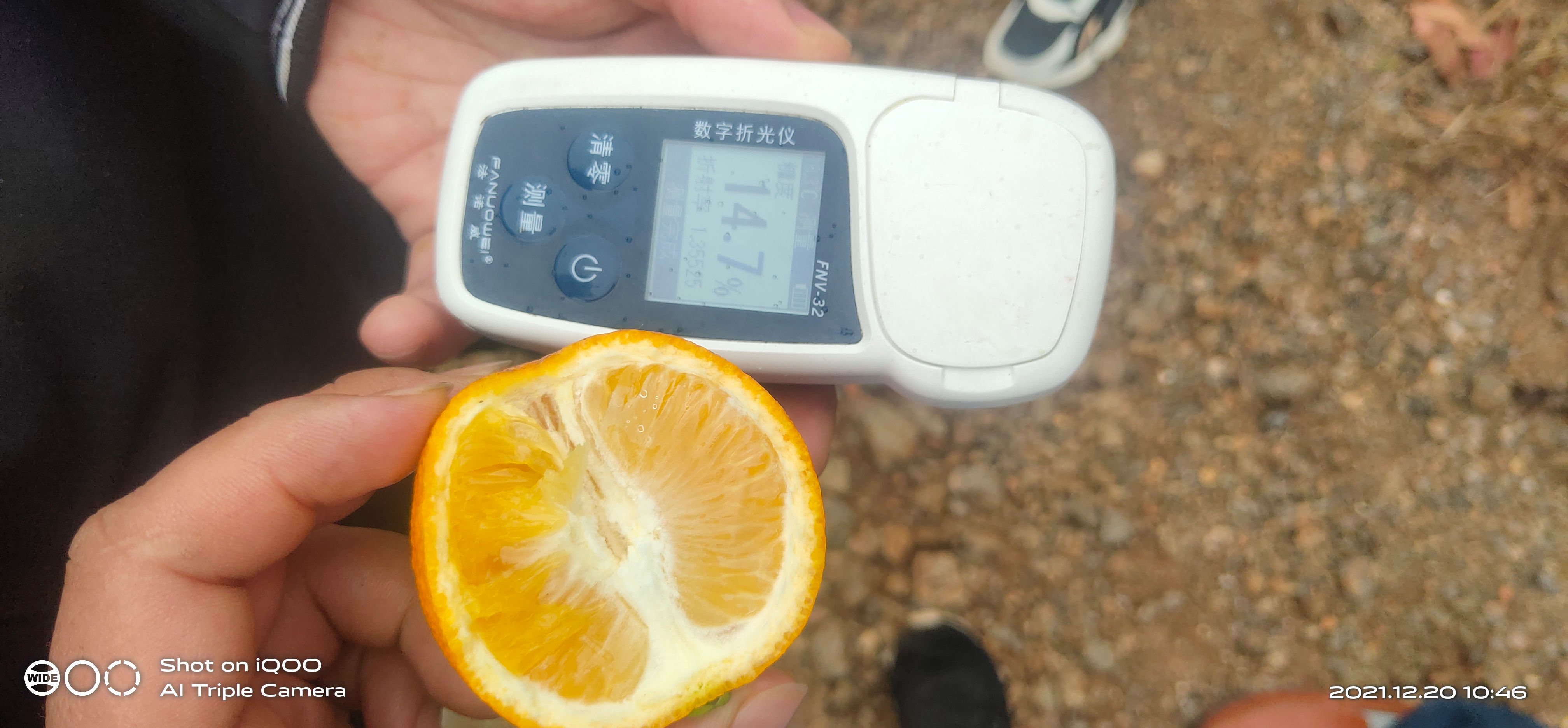 冰糖橙，锦蜜冰糖，埃及甜橙，，纯甜冰糖橙