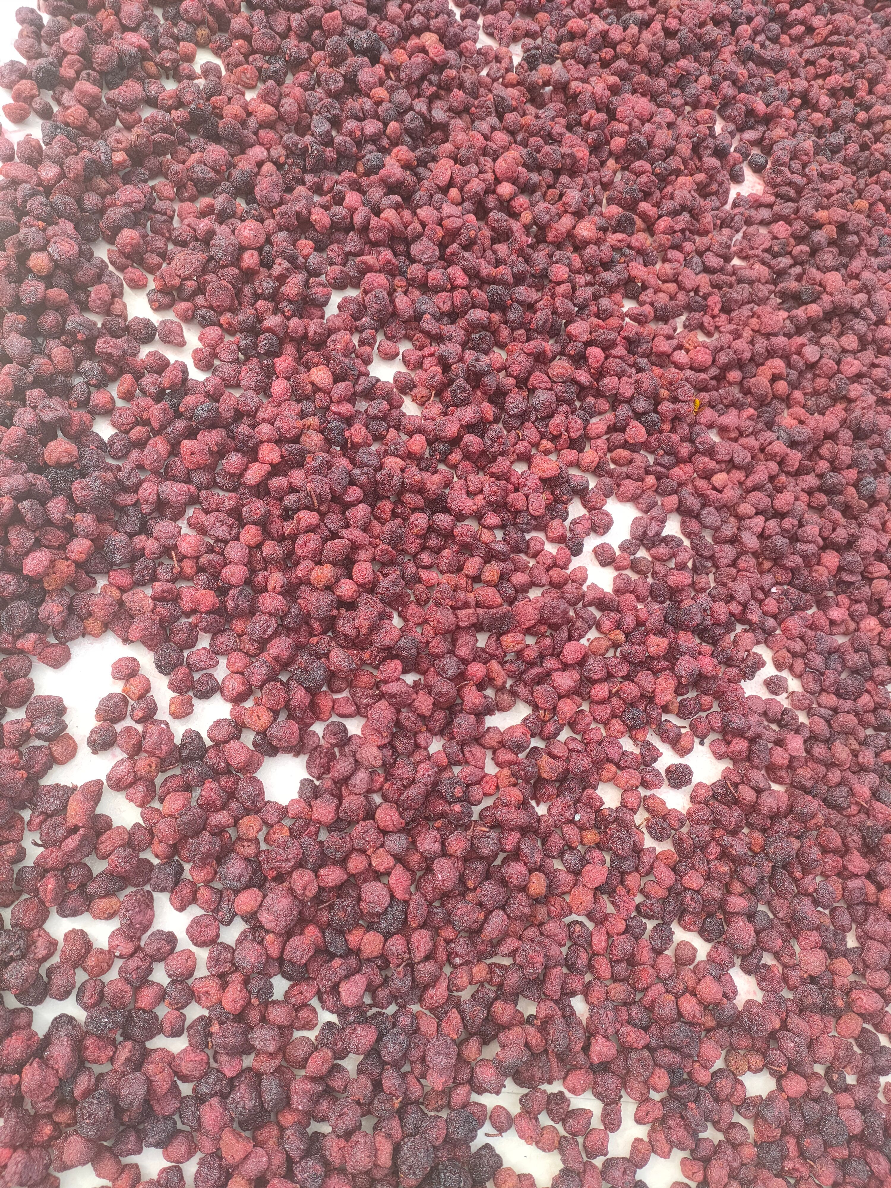 杨梅蜜饯 杨梅干 东魁杨梅干 蜜饯