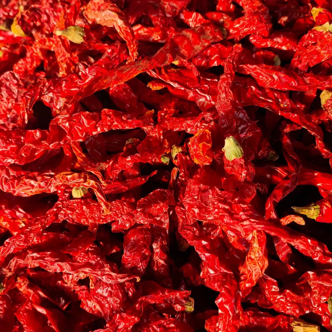 新疆线椒邹皮椒二荆条辣椒面新货