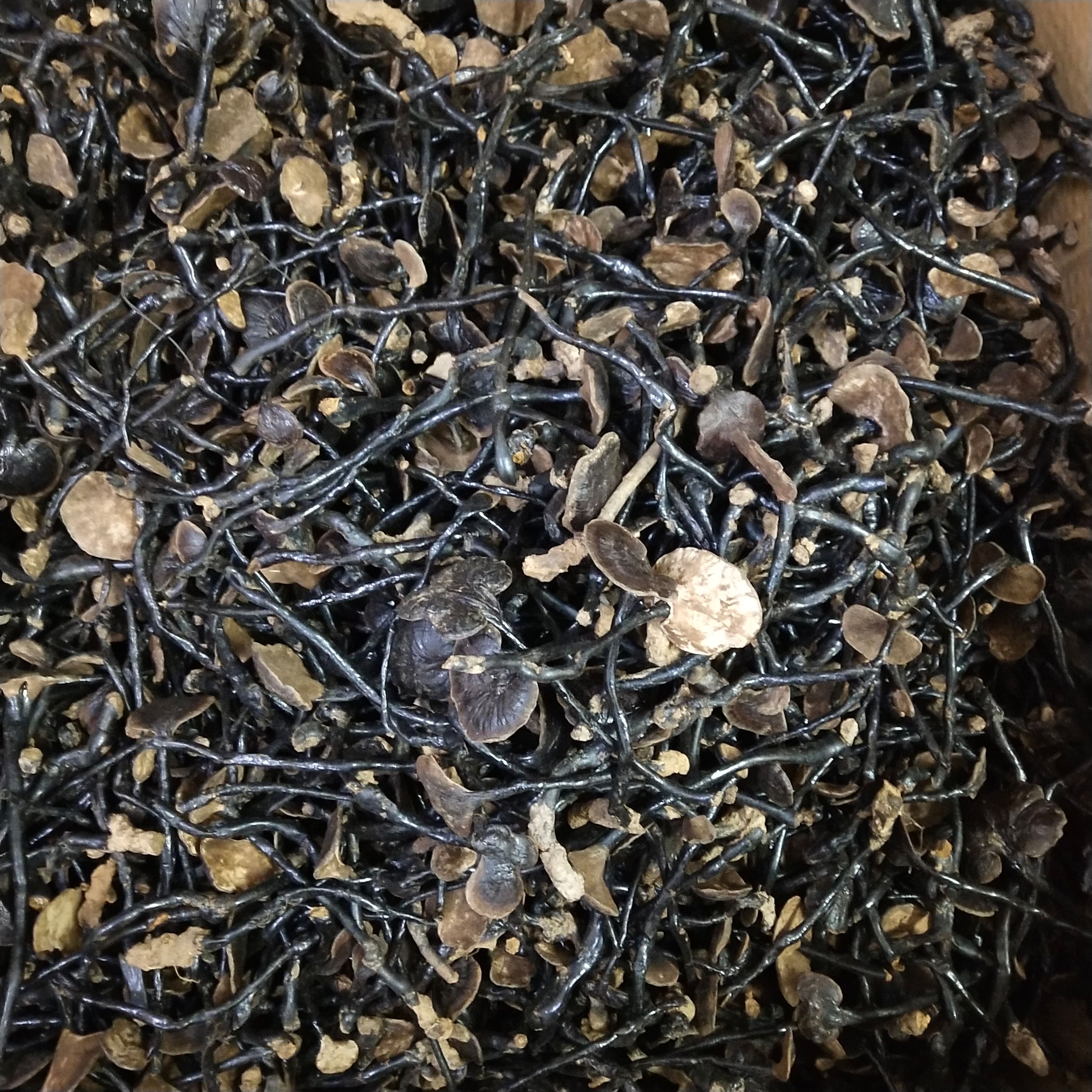 竹灵芝500克包邮长颈灵芝小红灵芝竹灵芝煮汤泡水批发