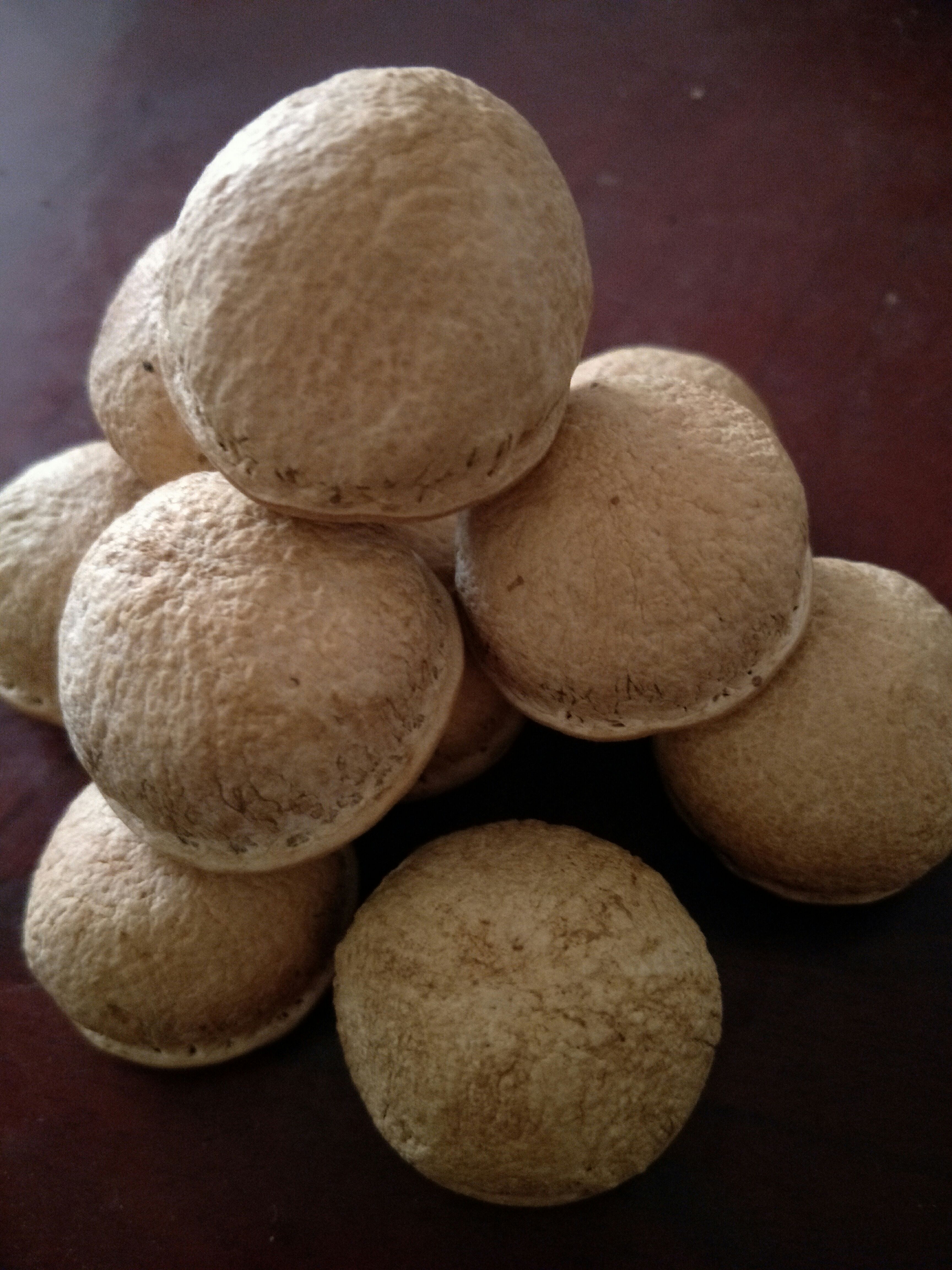 高岗大叶风流果苗，品种优良，皮薄肉厚，果大早熟品种。带泥发苗