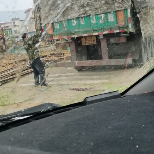 武汉 韶关精品甘蔗大量上市，脆甜可口，物美价廉