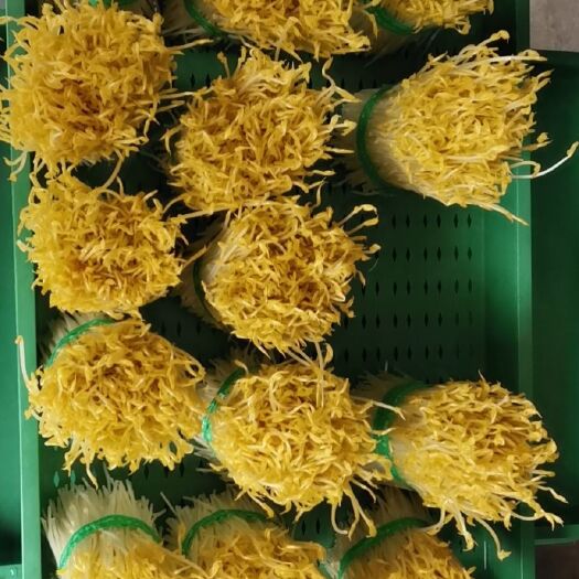文山市豌豆苗又名龙须菜
