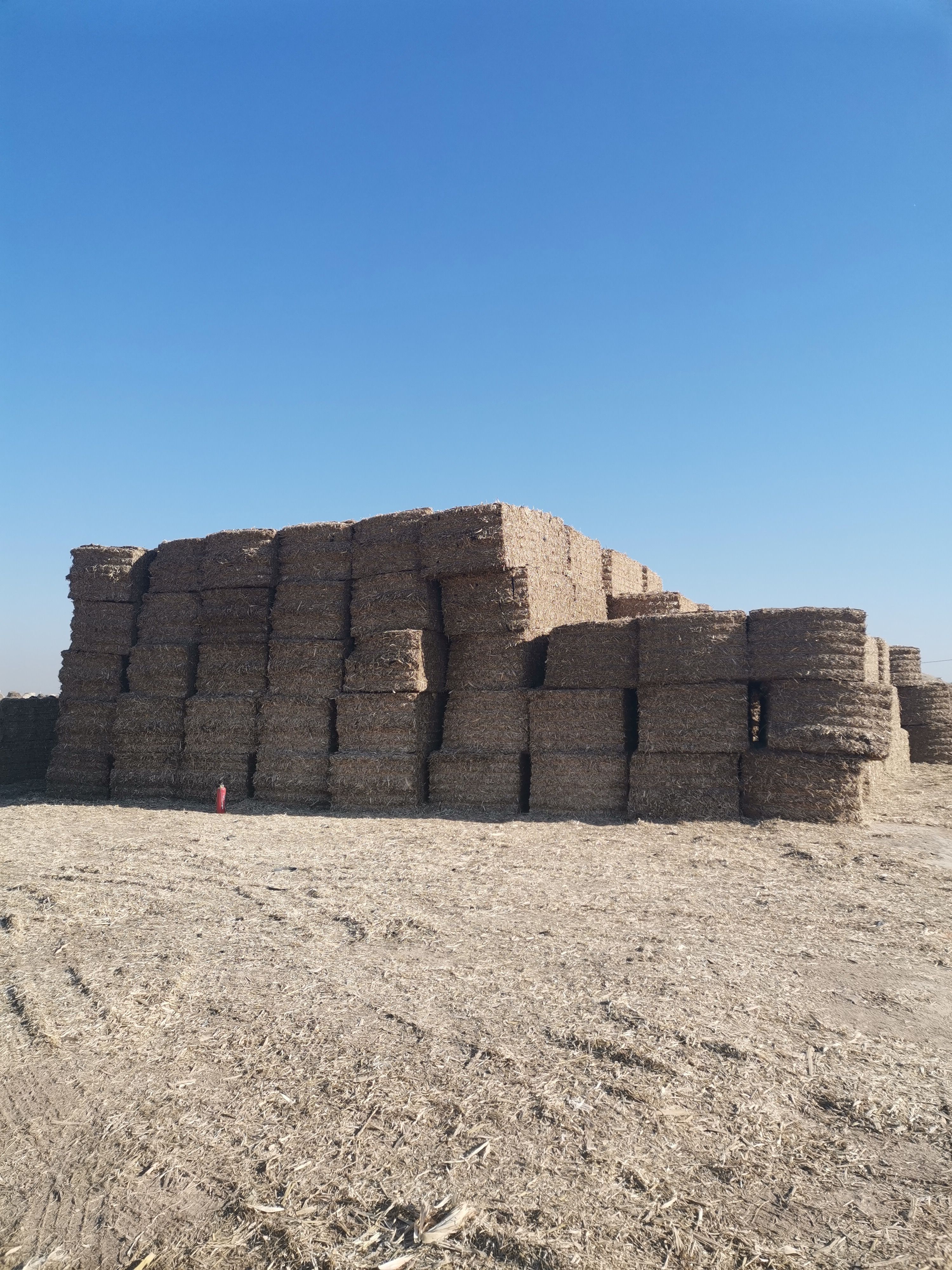 二次柔丝玉米秸秆，水分安全！