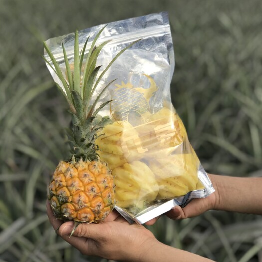 雷州市泰国小菠萝  削皮野生小菠萝